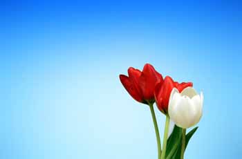 服务器攻击方式