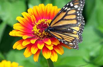 ddos攻击测试工具