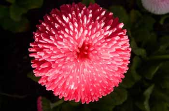 ddos攻击测试工具